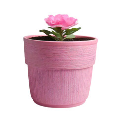 Pink plant pot for home decor