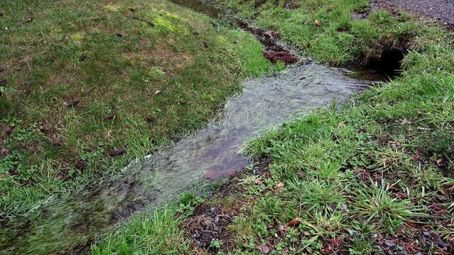 Rainwater running in a drainage system ditch after a heavy rain, healthy green grass and outlet pipe
