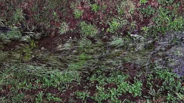Rainwater running in slow motion in a drainage system ditch filled with green grass after a heavy rain, as a nature background
