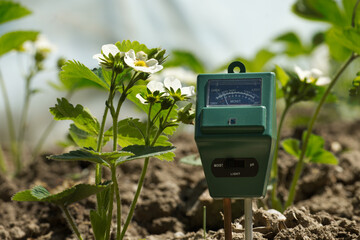 Measure soil with three way digital device