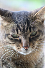 Reflexão Silenciosa