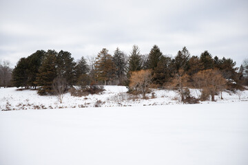 Beautiful winter landscape with snow-covered trees and cloudy sky.