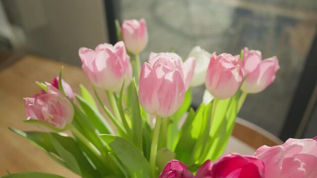 Backlit tulips sway gently in a vase on a sunny day, close-up with a dolly-out motion.