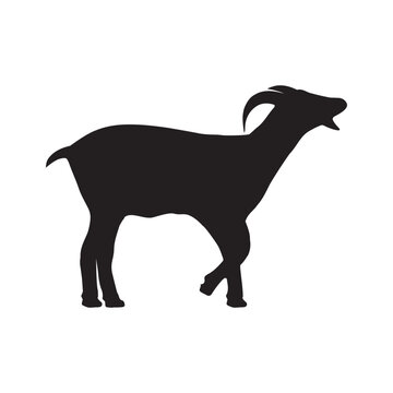 Goat vector icon silhouette. Black goat side view. Farm goat animal logo design vector illustration