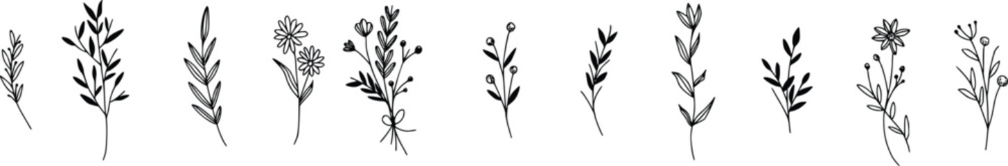 Set of handdrawn floral elements for design - obrazy, fototapety, plakaty