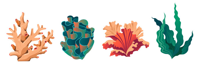 Undersea or ocean flora, coral reefs or seaweeds - obrazy, fototapety, plakaty