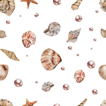 shells, corals, starfish, algae. Watercolor illustration on a white background. Seamless pattern. For fabric, textiles, wallpaper, clothing beach, summer accessories