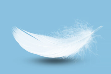 Abstract White Single Bird Feather Falling in The Air. Softness of Floating Feathers on A Blue background.