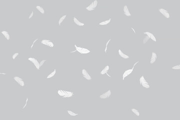 Abstract White Bird Feathers Floating in The Air. Freedom, Feather Softness, Feathers falling in Heavenly Concept.