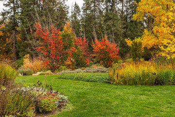 Naklejka na ściany i meble Beautiful colors of the Manito Park in Spokane, Washington, in autumn
