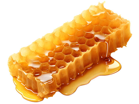 Fresh honey with honeycomb png honey comb png honeycomb piece png honey comb piece png flowing honey png flowing honey syrup Fresh honey transparent background