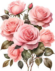 pink roses 6