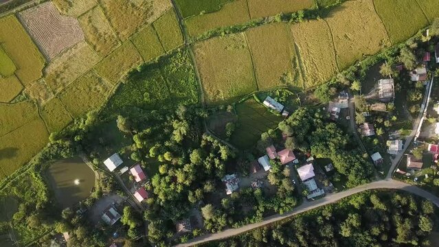 flight over forest to riverside rice paddy field tea plantation farm land old house traditional historical rural village in mountain climate town in gilan rasht iran wonderful city of northern