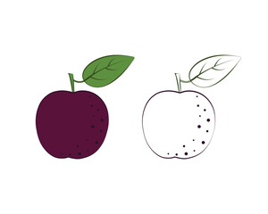 Plum coloring book. Children s coloring book with the image of a plum tree. Ripe garden fruit. Vector illustration