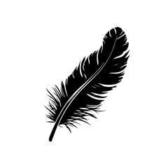 A black quill feather