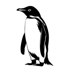 A simple penguin outline