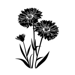 Fototapeta premium Calendula Flowers Logo Monochrome Design Style