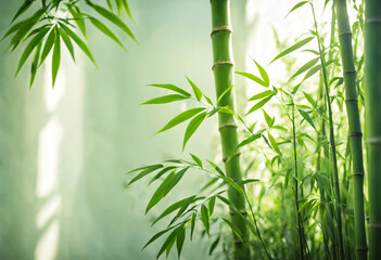 bamboo leaves on a green background