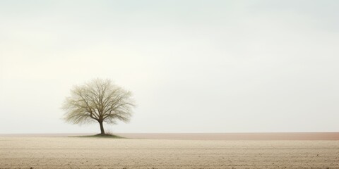 In the idyllic countryside, a solitary tree stands amidst expansive farmlands, harmonizing with the vast expanse of the open sky, creating a serene and picturesque landscape.
