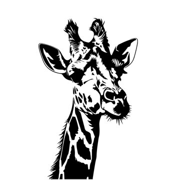Safari Giraffe Logo Monochrome Design Style