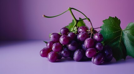 Fresh Purple Grapes with Green Leaves on Vibrant Purple Background