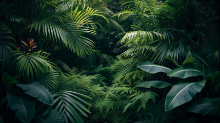 Lush tropical foliage with deep green tones.