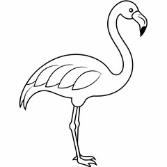 flamingo black and white vector illustration for coloring book	
