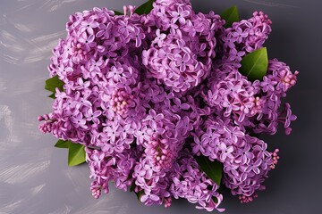 Blooming purple lilacs in a vase