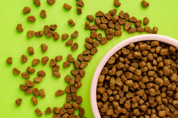 Pet bowl with dry food on green background studio shot