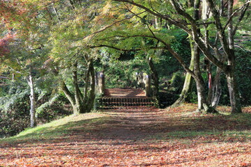 公園の秋の始まり