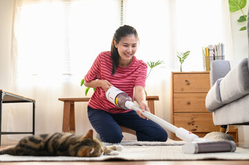 Asian woman using vacuum cleaner cleaning carpet to remove dust, hair or fur while cute tabby cat...