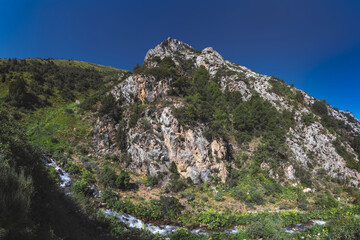 mountain stream river in the field in the gorge in summer