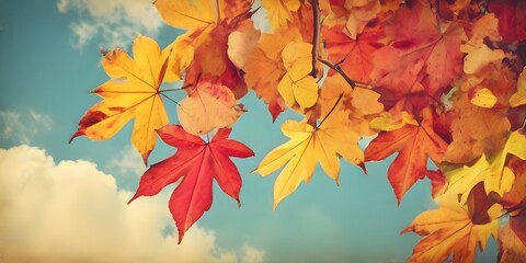 autumn leaves background Blurred autumn background, yellow maple leaves. frame
