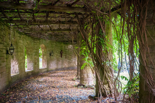 The Sunken Gardens Of Mount Assisi