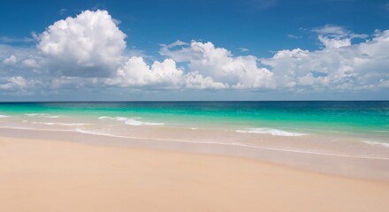 clean tropical beach with sky