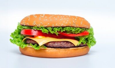 cheese hamburger on a white background