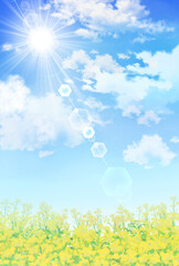 Obraz premium 菜の花畑 風景 水彩画 背景素材 春イメージ 野原 お花見 入学 卒業 縦長