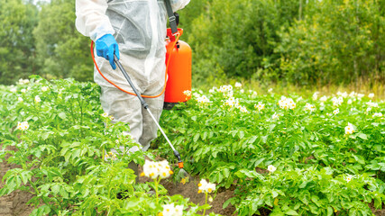 Fototapeta premium Plant protection against pests and diseases, A man in a white protective suit treats plants with a spray bottle