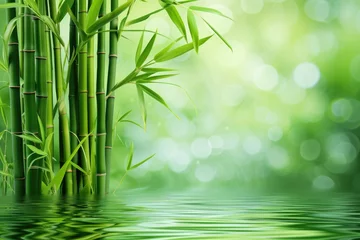 Foto op Canvas bamboo forest background © BetterPhoto