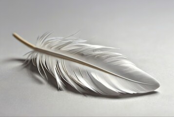 White feather dropped on a white background from Generative AI