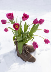 bouquet of spring flowers, freshly cut pink tulips in boots instead of a vase, standing on white freshly fallen snow. Between winter and spring. Cold weather. Valentine's Day.