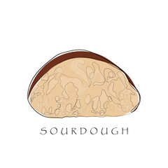 Fototapeta premium Hand drawn line art vector of Sourdough making. Sourdough freestyle art. Vector for postcards.
