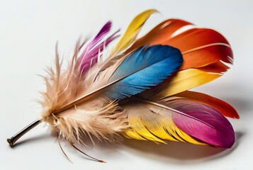 Colorful feather dropped on a white background from Generative AI