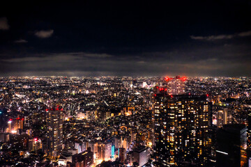 Landscape view over Tokyo city at night. City lights shining. Japan.