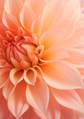 Flower print dahlia peach fuzz color, in the style of pastel tonality. Close up