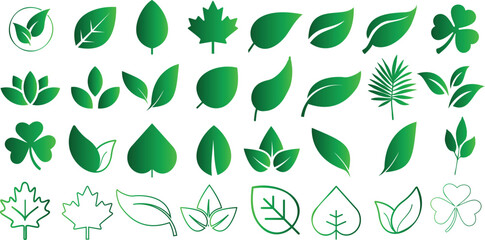 Green leaves vector icons collection, vibrant, minimalist design. Perfect for eco friendly branding, web design, presentations. Various leaf shapes representing different plant species - obrazy, fototapety, plakaty