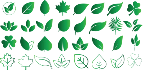 Foto op Plexiglas Green leaves vector icons collection, vibrant, minimalist design. Perfect for eco friendly branding, web design, presentations. Various leaf shapes representing different plant species © Arafat