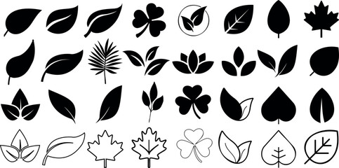 Leaf silhouettes, vector collection, diverse leaves shapes, nature elements. Ideal for eco friendly brand aesthetics, botanical illustrations, educational materials, artistic designs, decorations. - obrazy, fototapety, plakaty