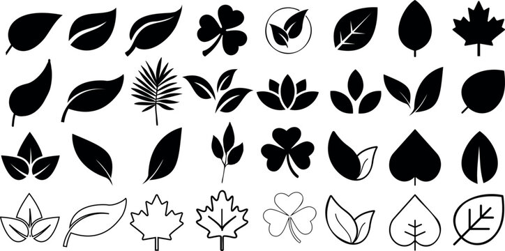 Leaf silhouettes, vector collection, diverse leaves shapes, nature elements. Ideal for eco friendly brand aesthetics, botanical illustrations, educational materials, artistic designs, decorations.