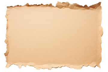Fototapeta premium Piece of torn cardboard paper on transparent PNG background Generative Ai